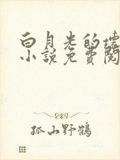 白月光的坏种妹小说免费阅读