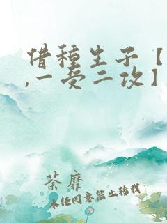 借种生子【双性,一受二攻】