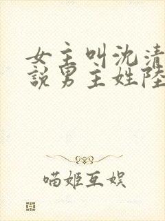 女主叫沈清的小说男主姓陆