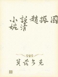 小说赵振国 宋婉清