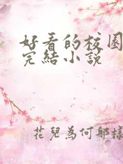 好看的校园言情完结小说