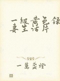 一级黄色录像夫妻生活片