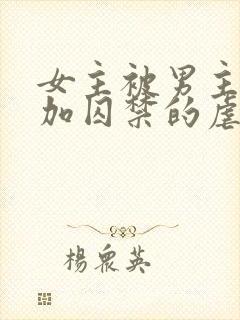 女主被男主qj加囚禁的虐文