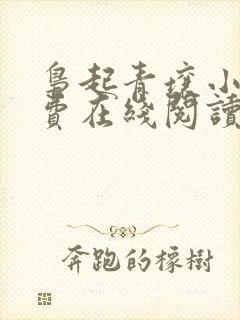 枭起青壤小说免费在线阅读完整版