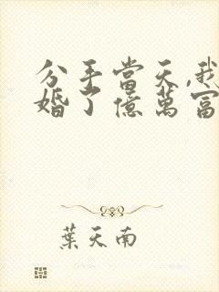 分手当天,我闪婚了亿万富豪有声小说完整