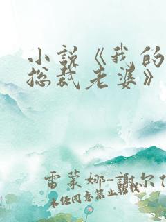 小说《我的冷艳总裁老婆》