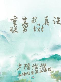 重生我真没想当暖男 txt