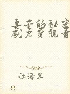 妻子的秘密电视剧免费观看完整版