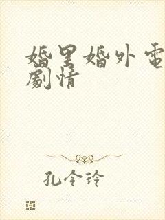 婚里婚外电视剧剧情