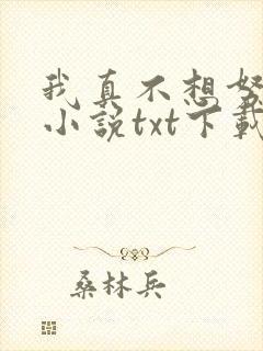 我真不想努力了小说txt下载