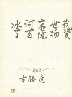 冰河末世我囤积了百亿物资正版