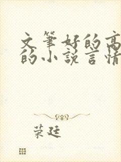 文笔好的高质量的小说言情