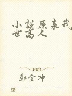 小说原来我是隐世高人