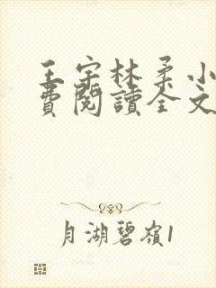 王宇林柔小说免费阅读全文最新章节