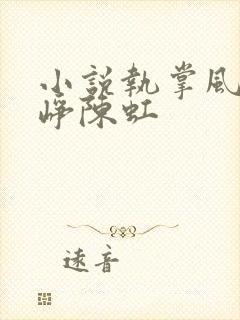 小说执掌风云萧峥陈虹