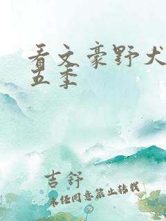 看文豪野犬 第五季