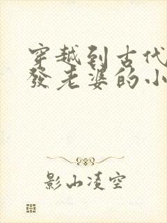 穿越到古代官府发老婆的小说