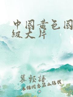 中国黄色国产一级大片