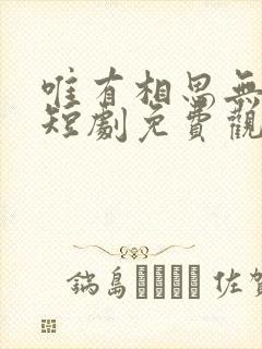 唯有相思无尽处短剧免费观看