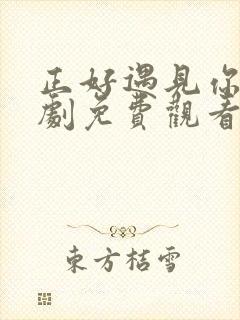 正好遇见你电视剧免费观看全集