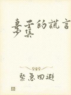 妻子的谎言共多少集