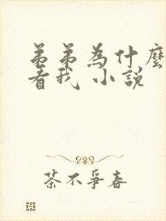 弟弟为什么这么看我 小说