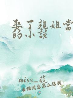 娶了亲姐当老婆的小说