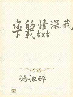 你的情深我不配下载txt