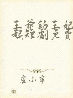 王爷的王妃惹不起短剧免费观看