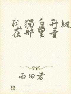 我独自升级动漫在哪里看