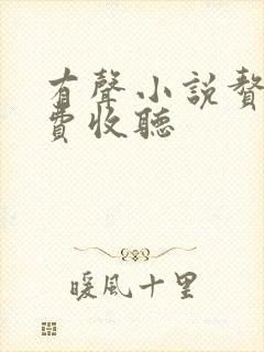 有声小说赘婿免费收听