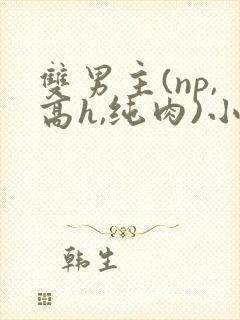 双男主(np,高h,纯肉)小说推荐