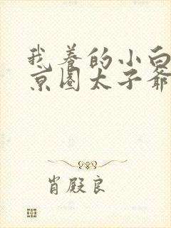 我养的小白脸是京圈太子爷短剧