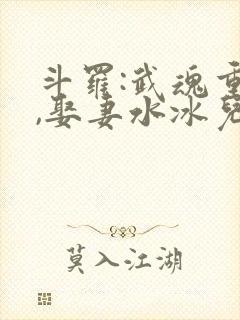 斗罗:武魂重瞳,娶妻水冰儿