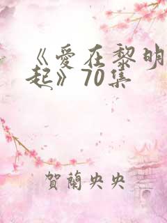 《爱在黎明前升起》70集