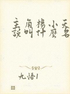 主角杨小天的小说叫什么名字