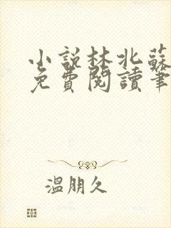 小说林北苏婉儿免费阅读笔趣阁