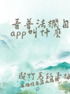 看普法栏目剧的app叫什么