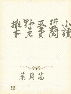 撒野巫哲小说全本免费阅读