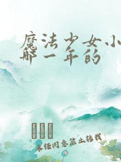 魔法少女小圆是哪一年的