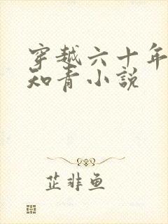 穿越六十年代小知青小说