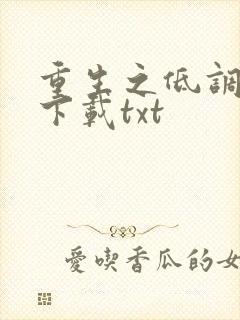 重生之低调大亨下载txt