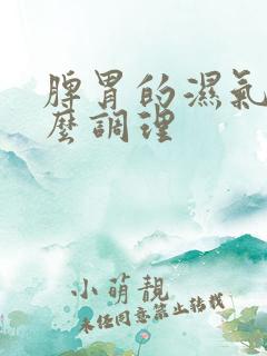 脾胃的湿气重怎么调理