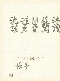 沈淮川苏沐禾小说免费阅读最新章节