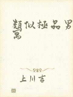 类似极品男子公寓