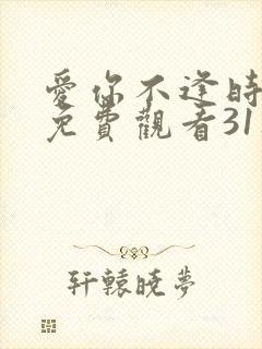 爱你不逢时短剧免费观看31集播放