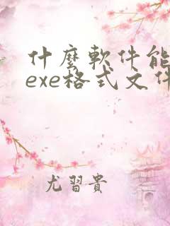 什么软件能打开exe格式文件
