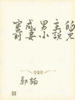 穿成男主的炮灰前妻小说免费阅读