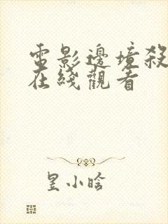 电影边境杀手3在线观看