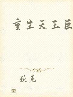 重生天王巨星